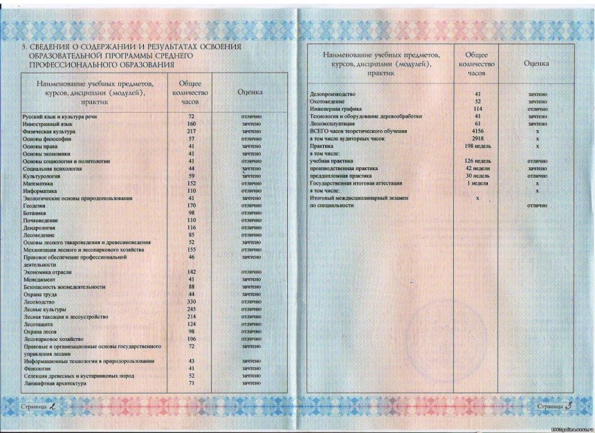 Диплом о высшем образовании оценки