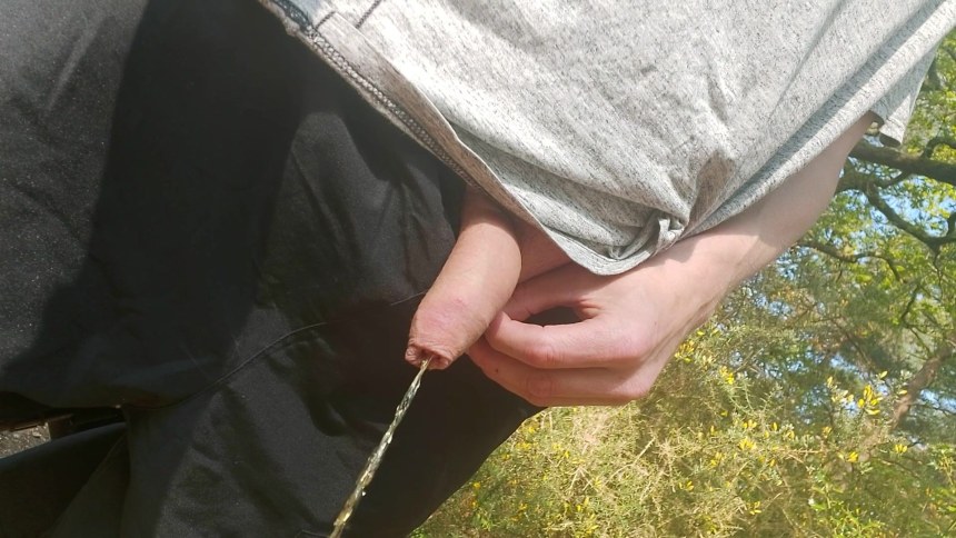 Публичный мужской писсинг