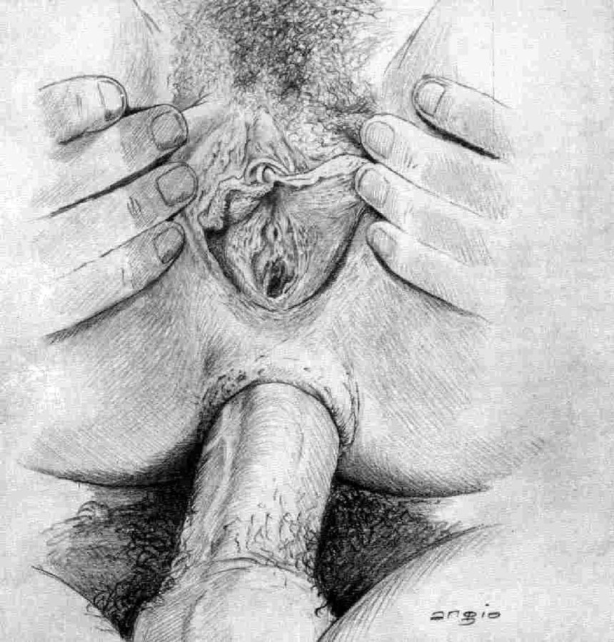 Рисование половых органов