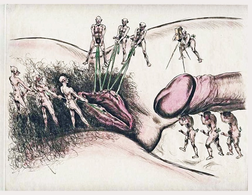 Член рисунок