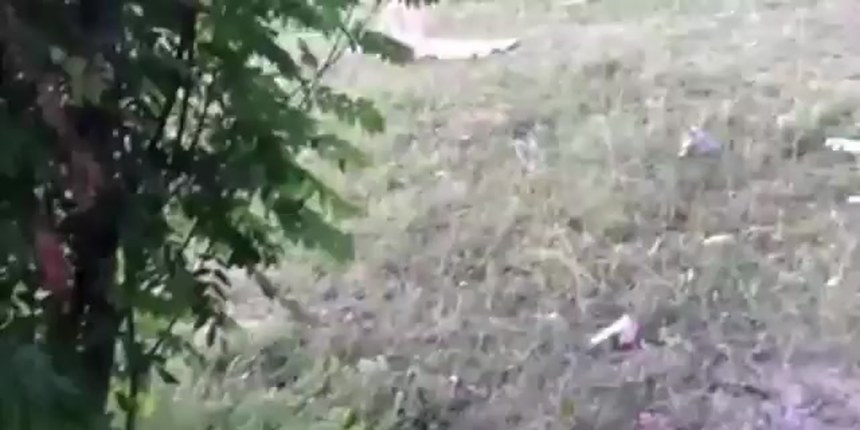 Смотреть онанисты в лесу