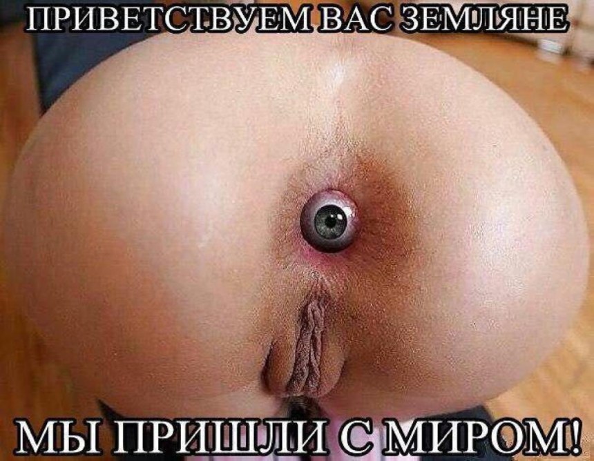 Самые большие женские анусы