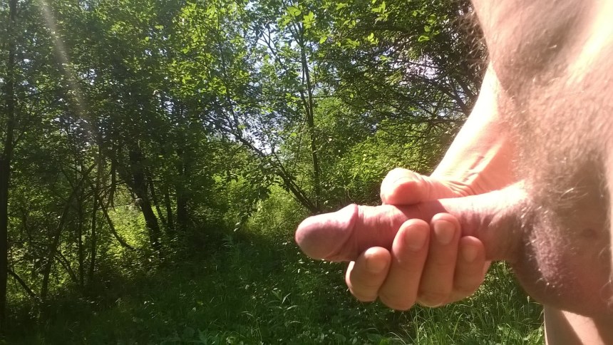 Дрочка члена на природе