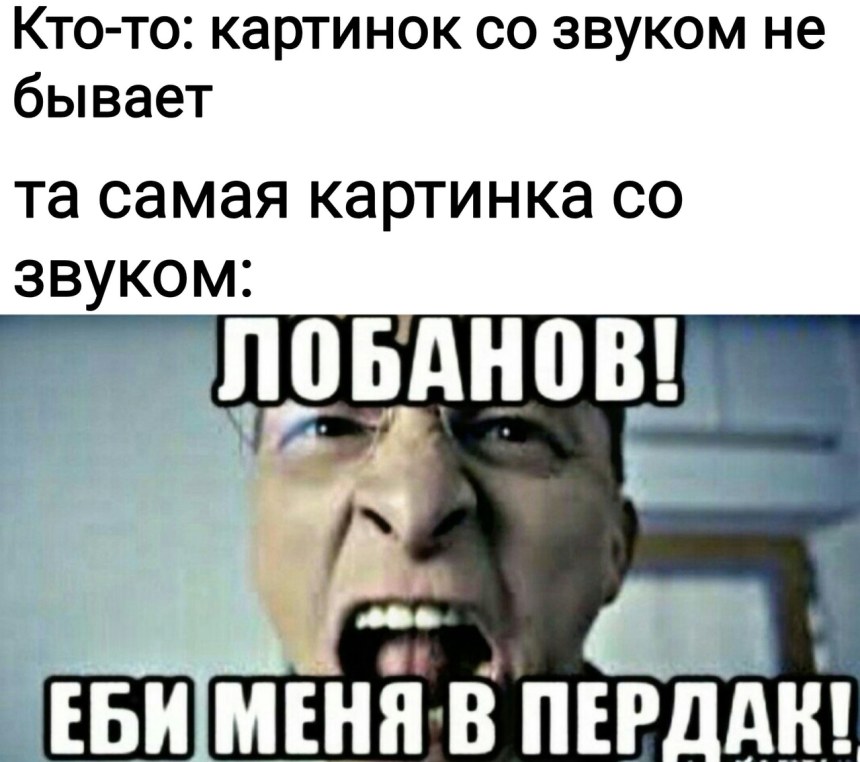 Быков мемы